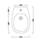 004 278 013 MILK BIDET SOSPESO 52x34 ANTRACITE MATT NIC-Archigo.it