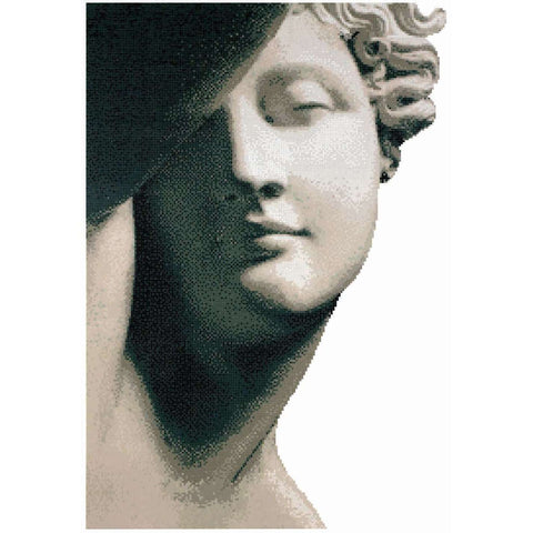 ENDIMIONE WALL  DECORI 10 BISAZZA CON KIT DI INSTALLAZIONE 06001333VLK-Archigo.it