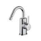 MISCELATORE BIDET GIREVOLE ELLITTICO SCARICO AUTOMATICO 1' 1/4 CON TONDA BERRY CROMO PAFFONI BR137CR-Archigo.it