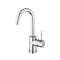 MISCELATORE LAVABO GIREVOLE SCARICO AUTOMATICO 1'1/4 BIRILLO CROMO PAFFONI BI077CR-Archigo.it