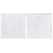 ORO 20.4/P M  ORO BIS BISAZZA SENZA KIT 022PB2004D1