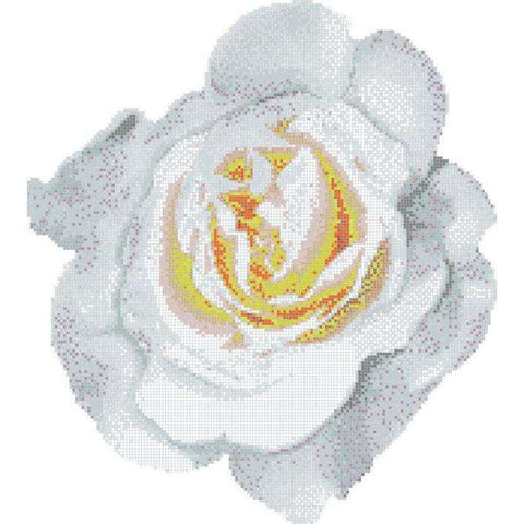 ROSA BIANCO  DECORI 20 BISAZZA CON KIT DI INSTALLAZIONE 06001103VLK